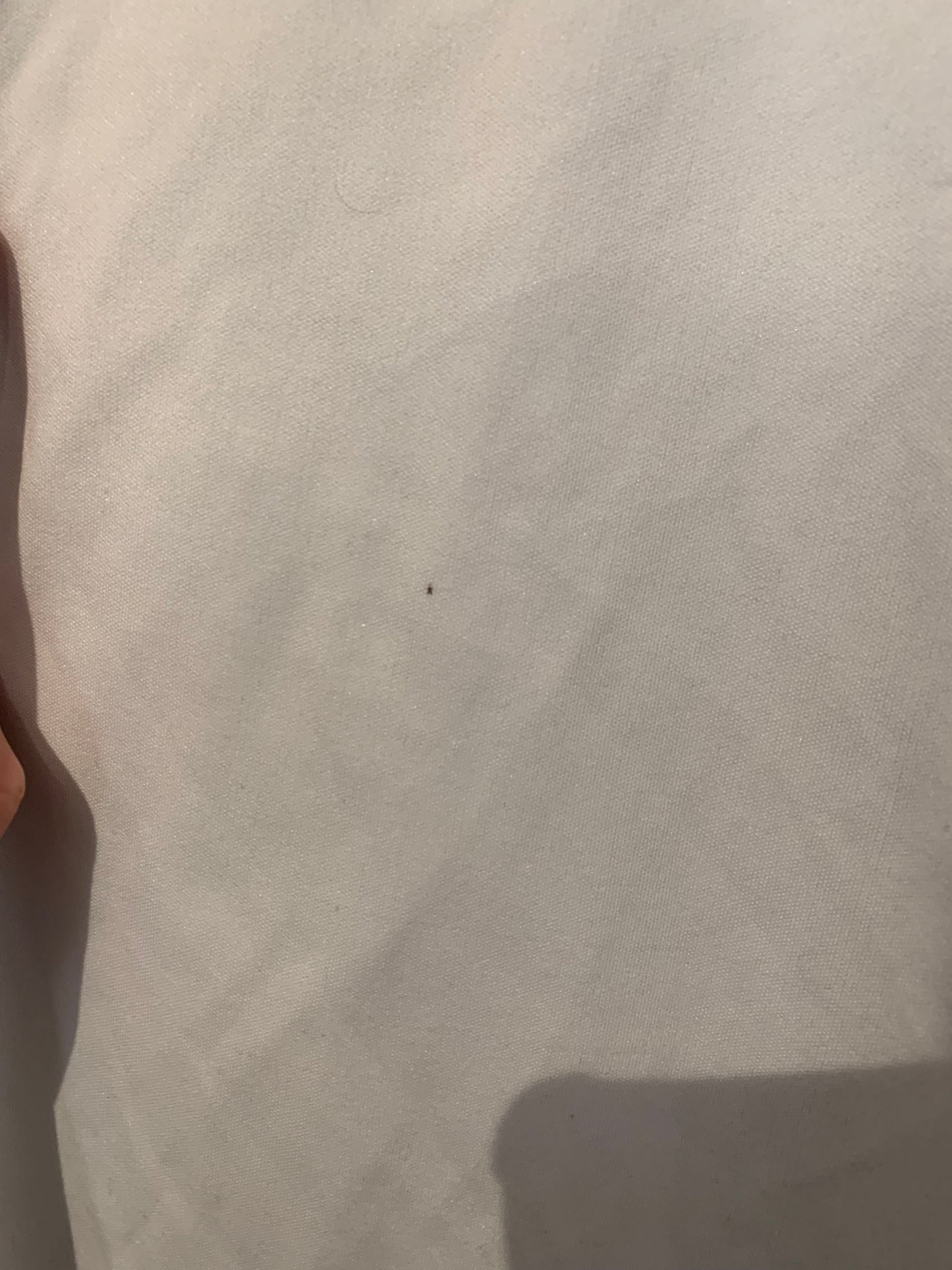 Xara Motherwell FC 2004/2005/2006 Training Shirt (M)